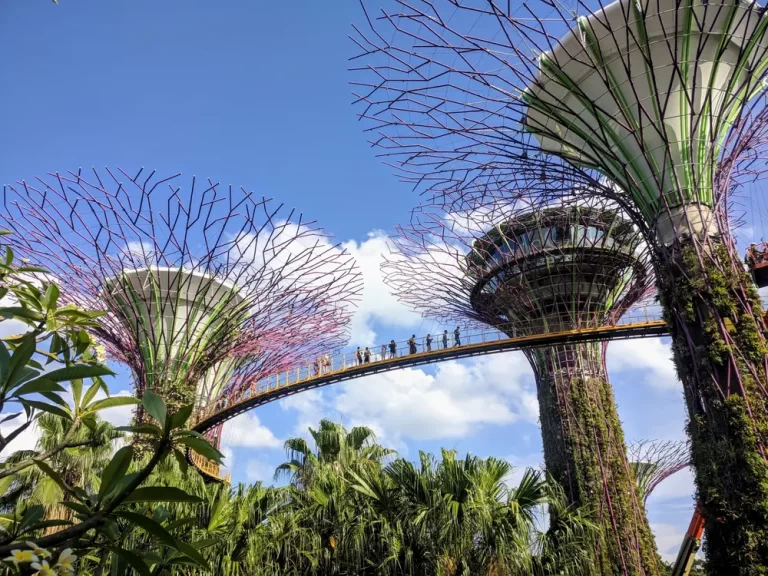 OCBC Sky Way at Garden by the Bay
